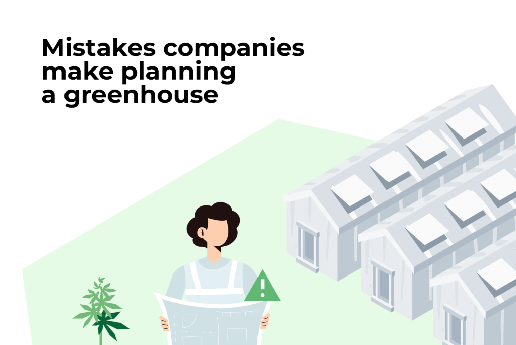 mistakes when planning a cannabis greenhouse 